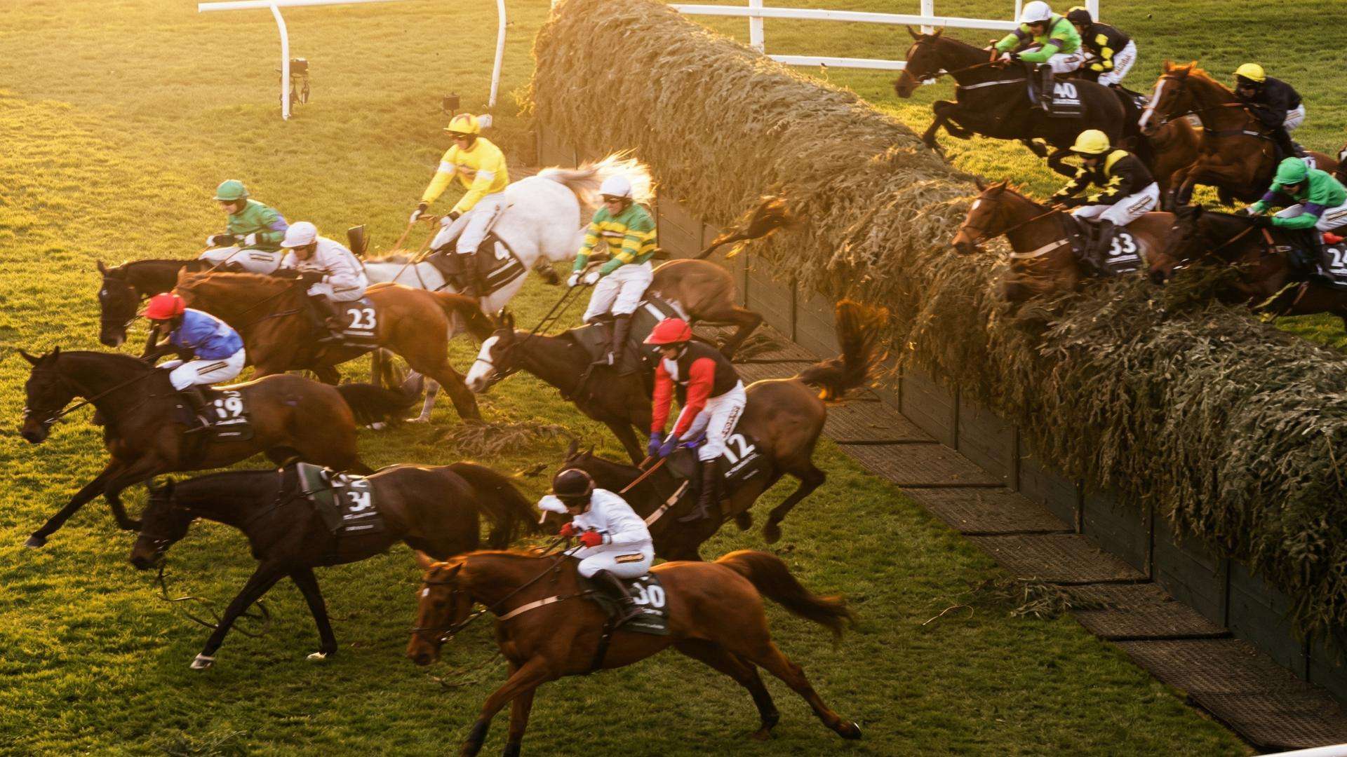 Grand National runners