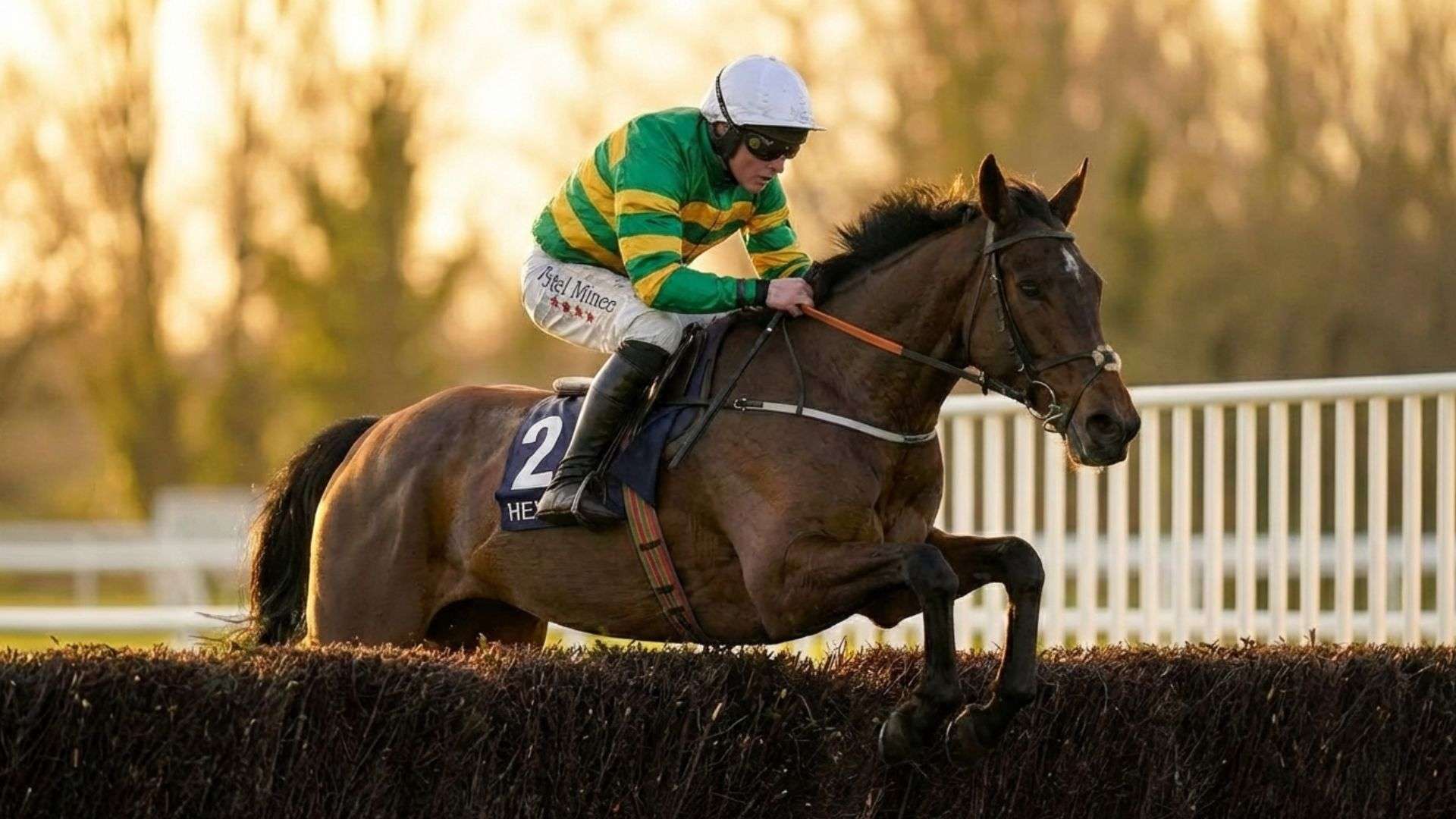johnnywho Horse Grand National, promotions